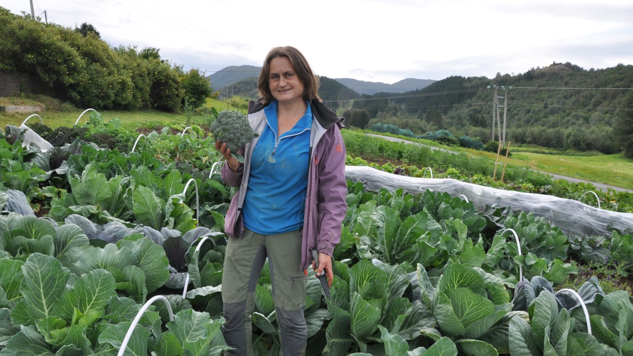 Kvinne i grønnsaksåker