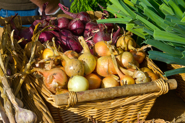 Grønnsaker, løk, i en korg