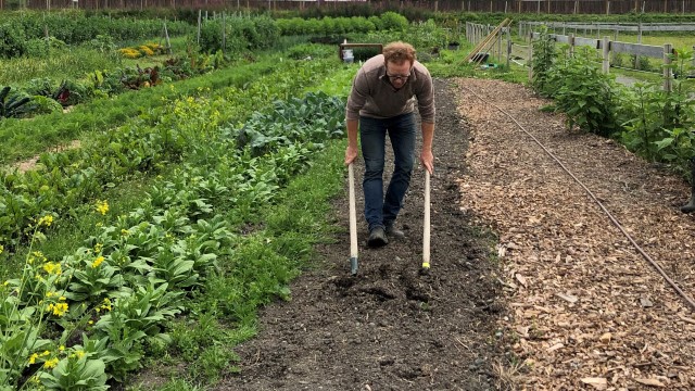 Ryan demonstrerer bruk av breigaffel. Han var rådgiver for urban dyrking på Voll gård fram til august 2020. I dag er Eivind Frøyland  gartner og rådgiver for urban dyrking på Voll gård. 