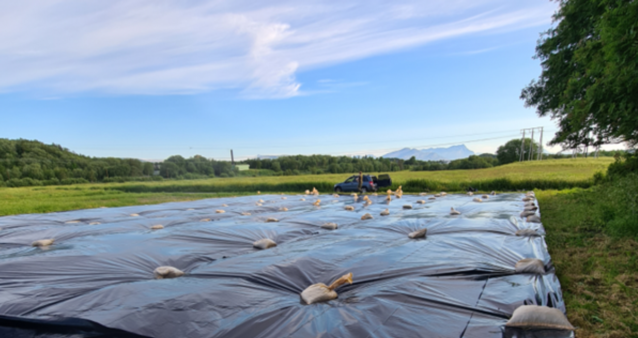 Plastdekke med svart plast på eng
