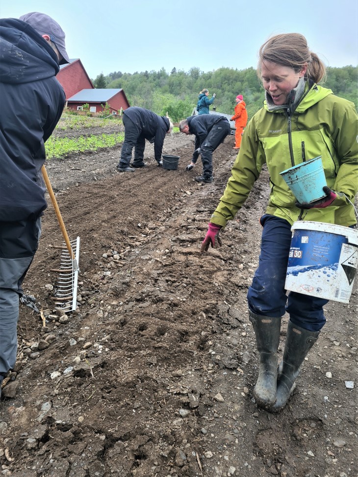 Kvinne strør gjødsel fra en bøtte på en brun åker. Ulike folk i bakgrunnen og ved siden av. 