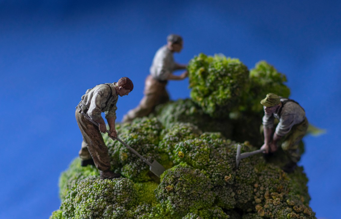 Lekemennesker i miniatyr på en brokkoli