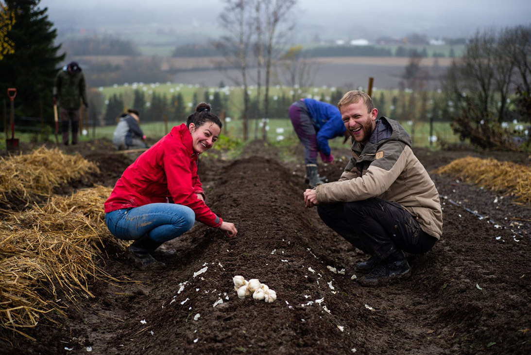 Andelslandbruket har mellom 25 og 30 andeler hvert år.