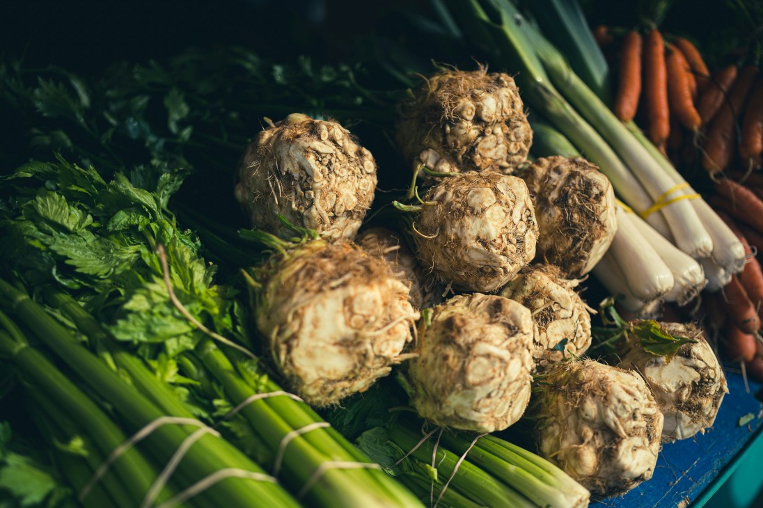 Grønnsaker i rekker, lyse i midten er selleri og i bakgrunnen purre