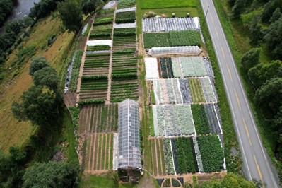 Dronebilde av grønnsaksåkrene til Grønt fra Grindal