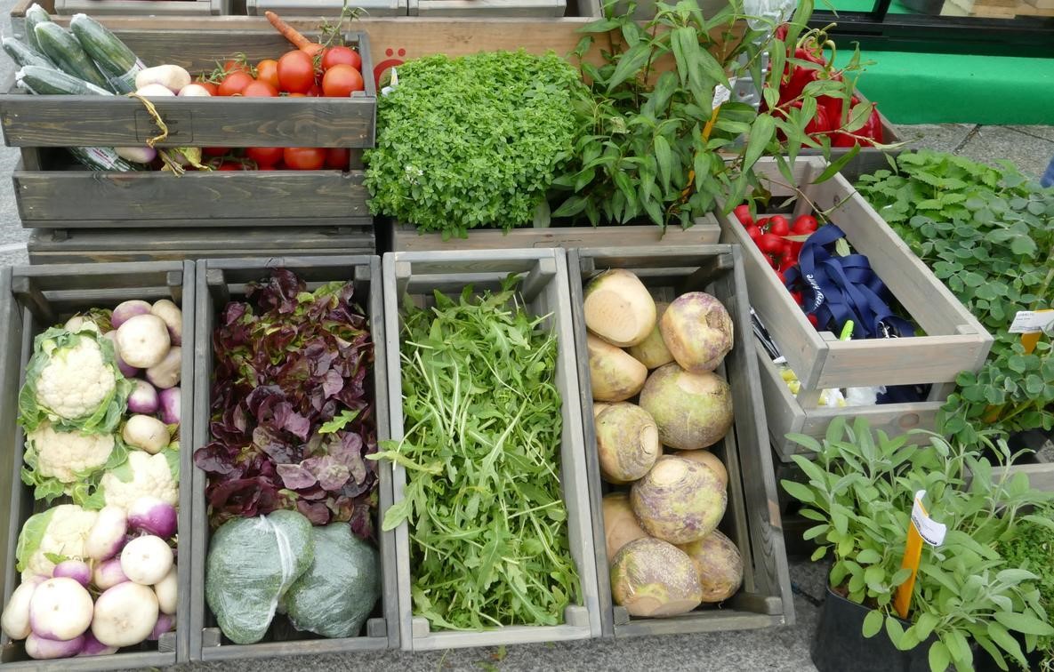 Ulike grønnsaker i ulike farger i små bokser