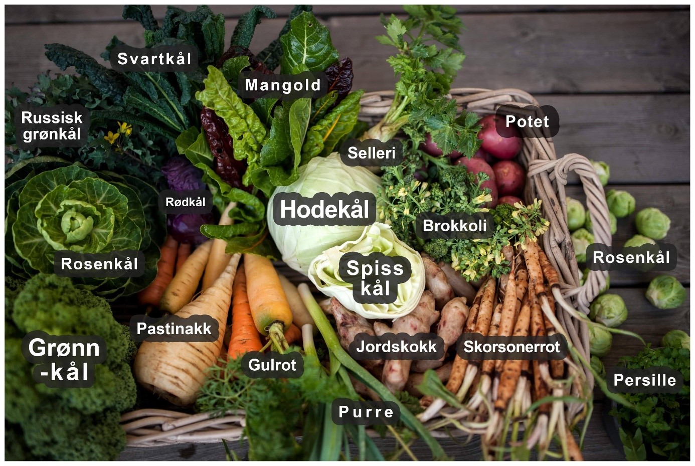 Grønnsaker med navn
