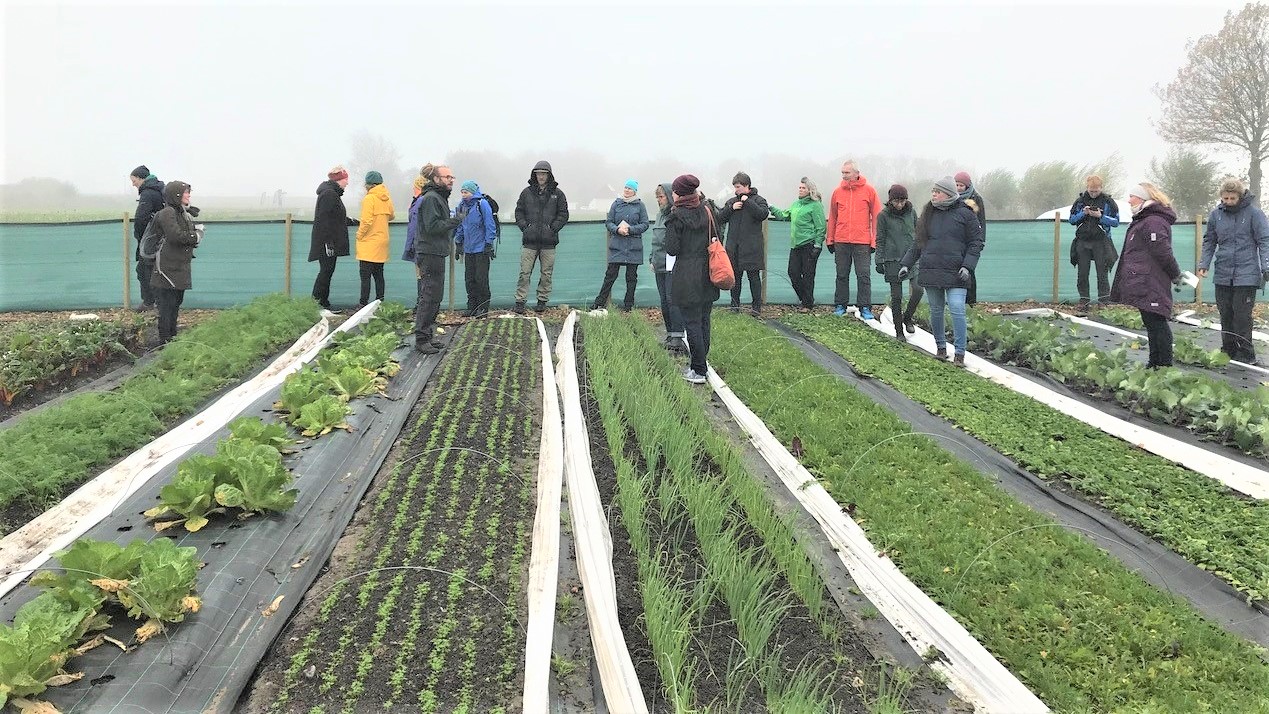 Rader med grønnsaker og personer i bakgrunnen