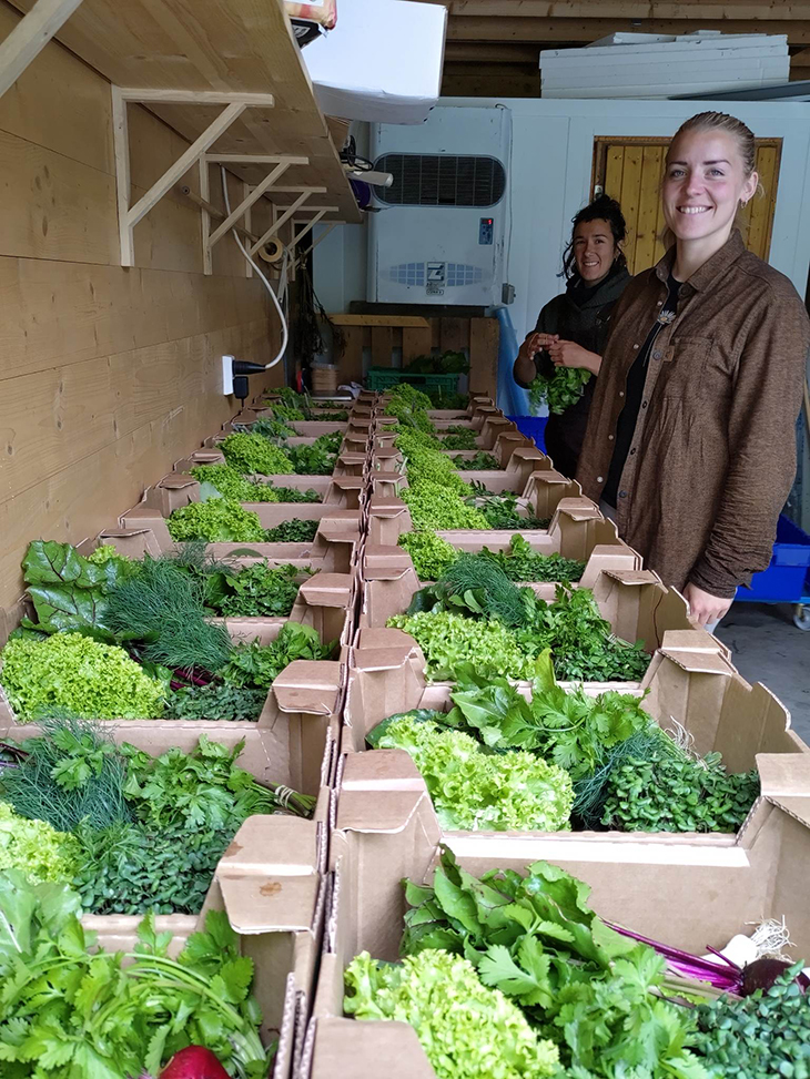 Ferdigpakkede abonnementskasser for kunder, som står klare til å hente.