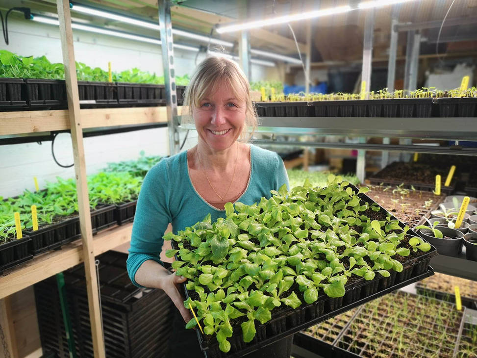 Gammelt oppalsrom for småplanter med Mathilde som viser fram småplanter i pluggbrett