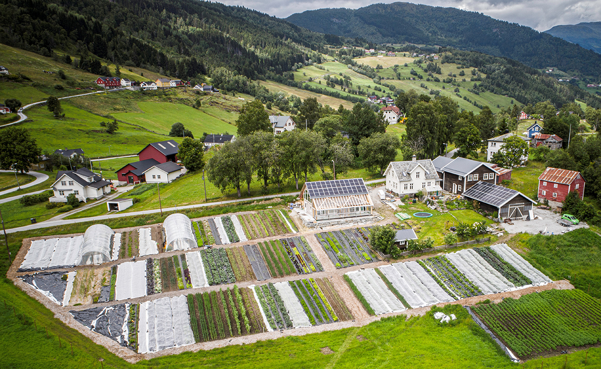 Dronefoto av alle dyrkingsbedene på Bøtun gard. 
