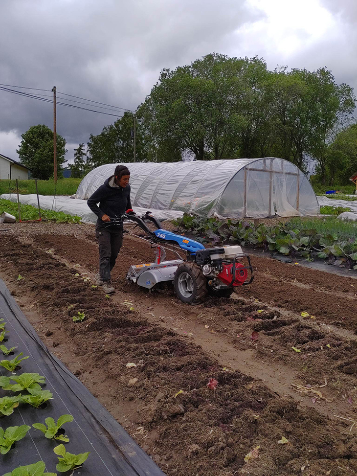 Tohjulstraktor er en god og viktig hjelper i drifta på Bøtun gard. 