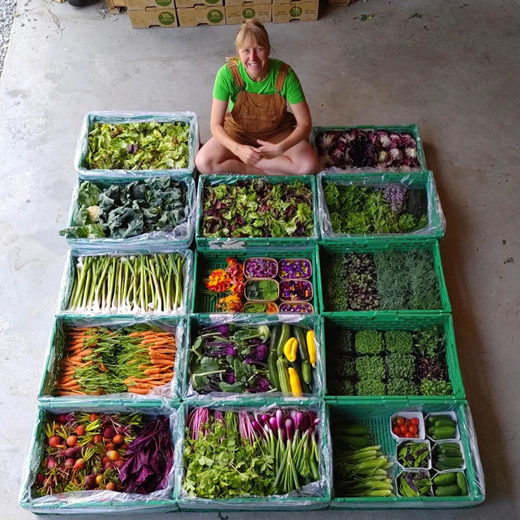 Variasjon i grønnsaksutvalget til kundene er viktig for Bøtun gard. Mathilde viser fram ulike grønnsaker som er høstet inn før levering og pakking til kunder. 