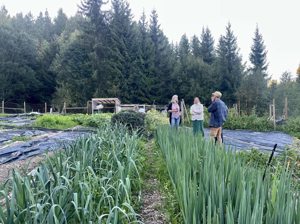 Tre personer står i en en grønnsaksåker
