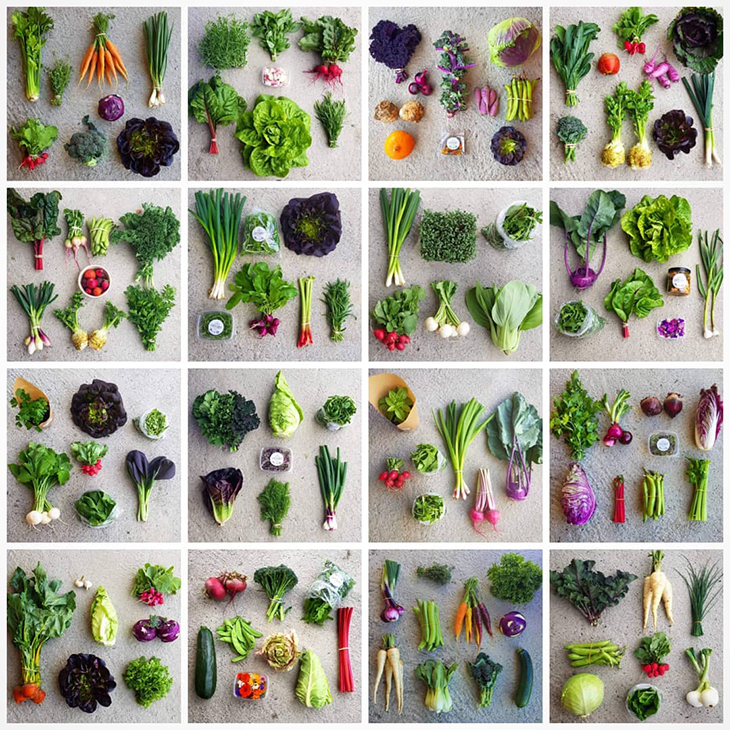 Eksempler på hva abonnentene har fått i kassene sine. 