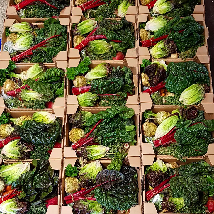 Grønnsakskasse fra abonnementsordninga til Avdem gardsgrønt. 