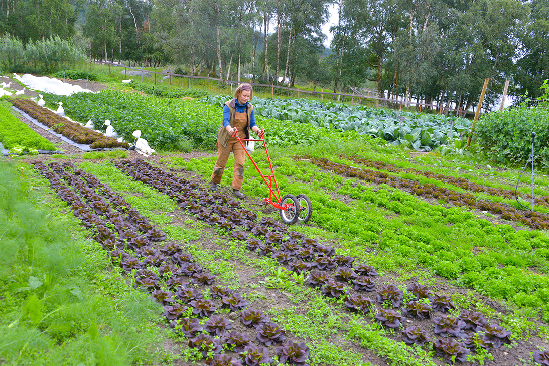 Tohjulshakken rasjonaliserer lukingen i radene. 