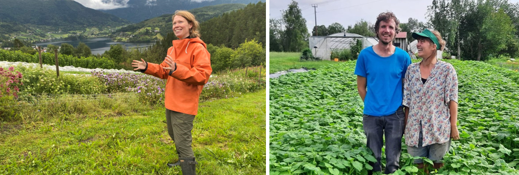 Personer som står ute på et grønnsaksfelt eller et felt med grønnsaker. Landskap og drivhus i bakgrunnen. 
