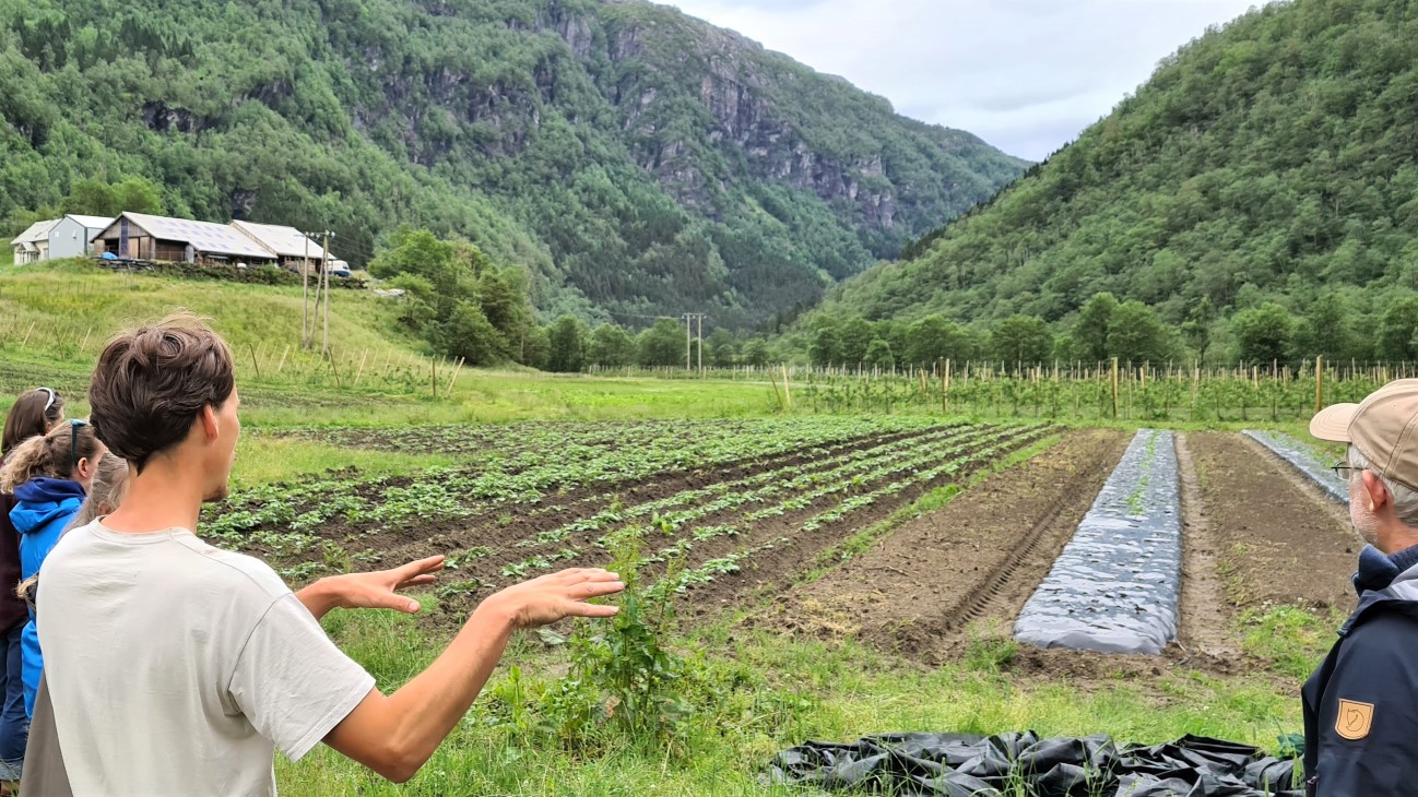 To personer ser på et grønnsaksfelt