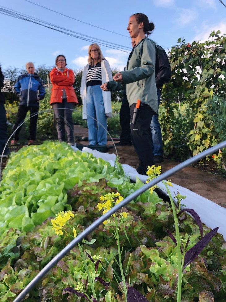 Flere personer i bakgrunnen, som snakker om grønnsakene i forgrunnen. Markvandring i grønnsaksåkeren på Stend VGS i Bergen.