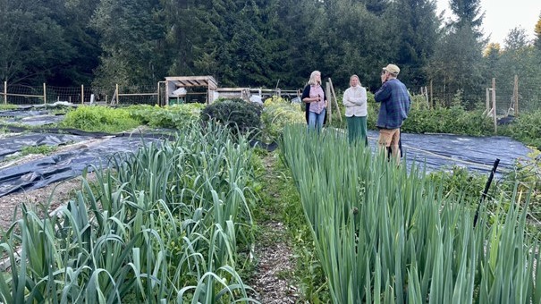 4 personer i en åker med grønnsaker, løkvekster i forgrunnen og gran i bakgrunnen