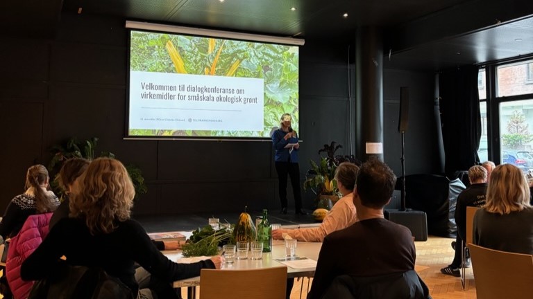 Skjerm i bakgrunnen , mennesker som sitter ved bord i stor sal. Svarte tak og vegger