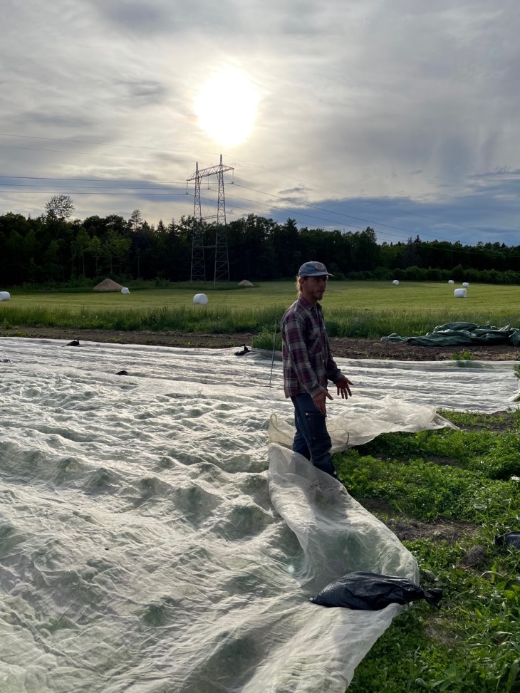 Omvisning med Anders A. Fossland i markedshagen på Holt Gård. 
