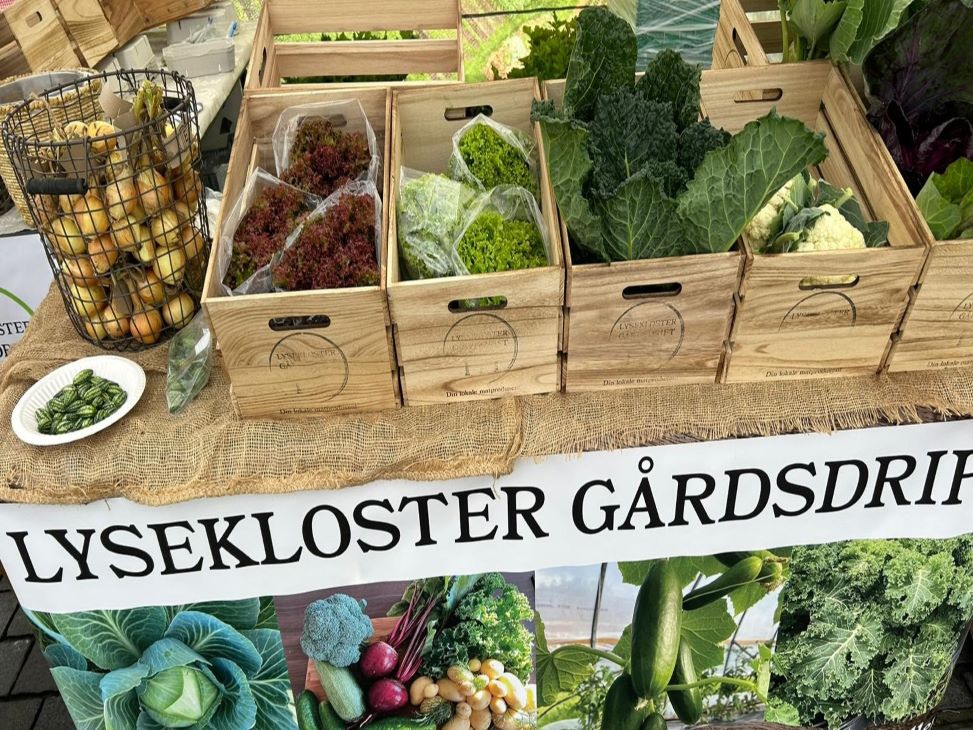 Grønnsaker i kasser på et bord.