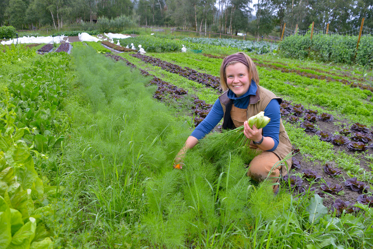 En kvinne i en åker av grønnsaker - hun holder grønnsaker i hendene