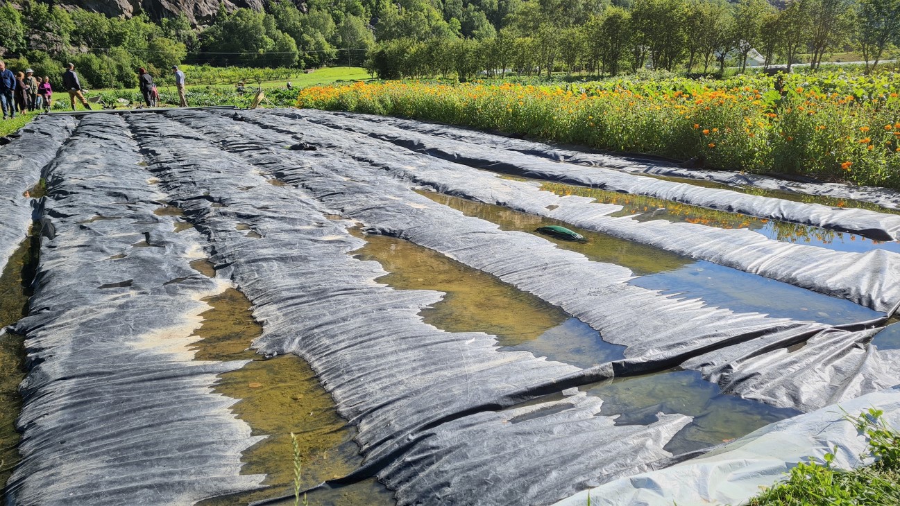 Svart plast på et jorde. Folk i bakgrunnen til venstre - fjell. 