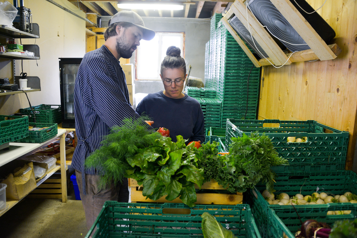 To personer i et pakkerom for grønnsaker med grønne kasser med grønnsaker i  og mye annet utstyr i rommet. 