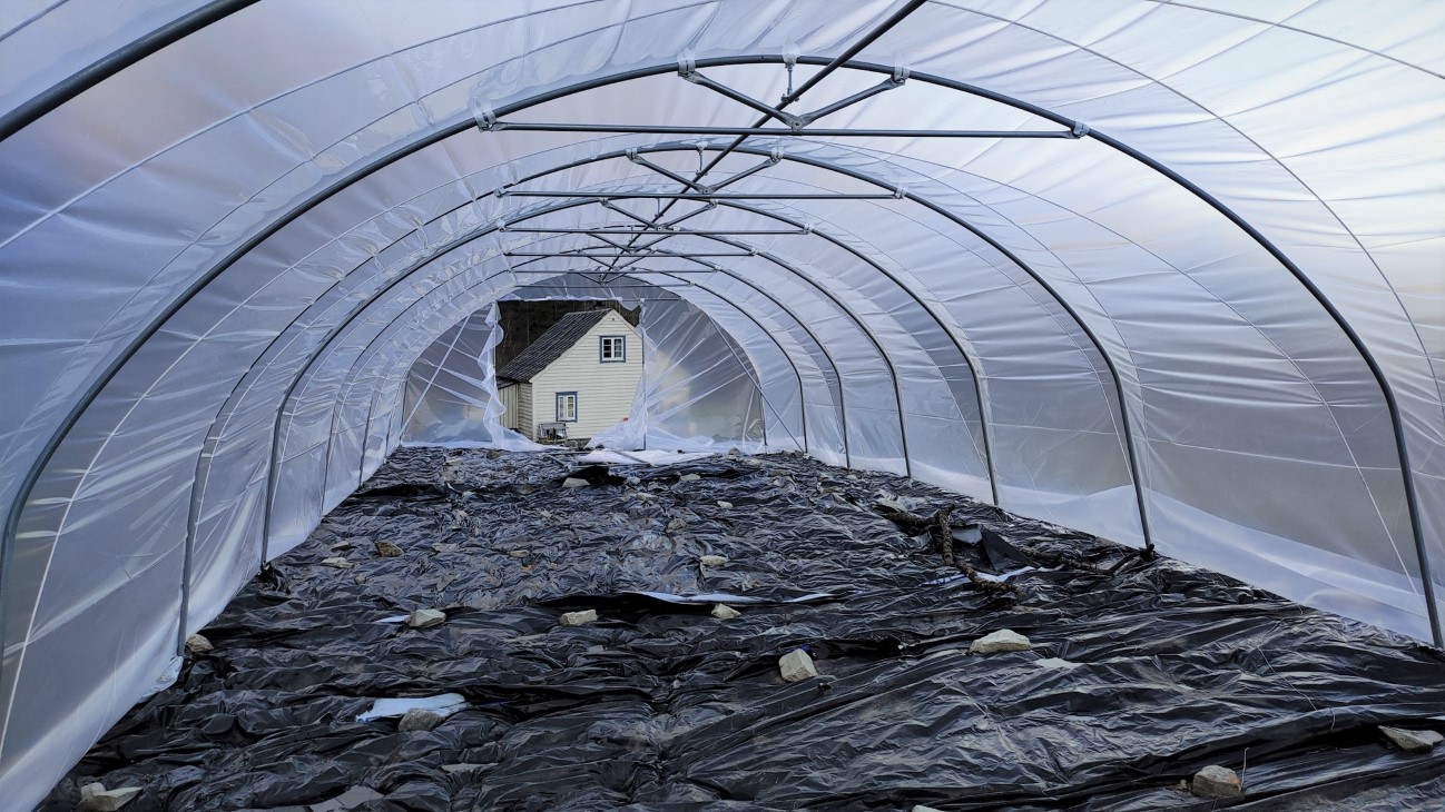 Tunell, plast over stålstenger, svart plast med steiner på bakken. Hus i bakgrunnen.