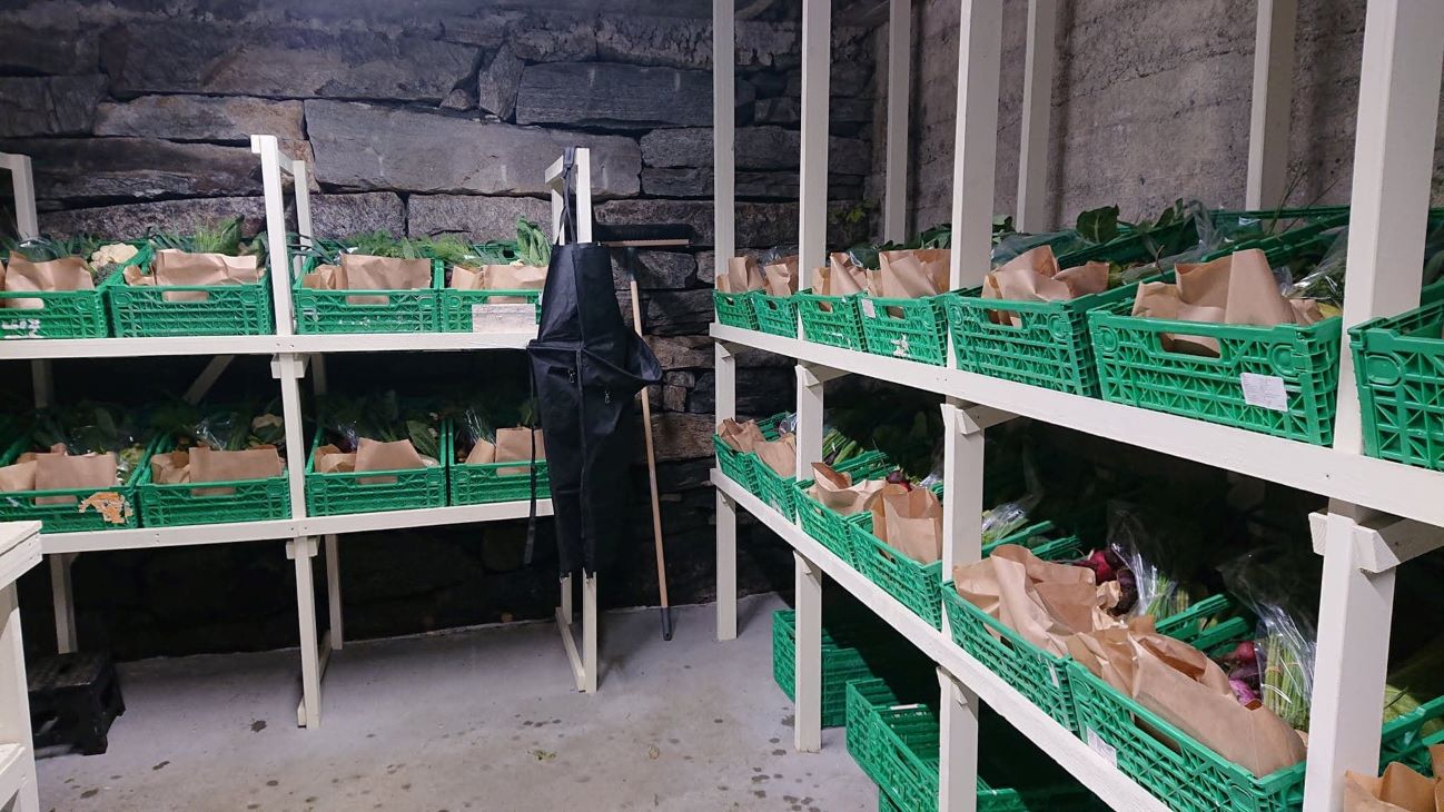 Grønne kasser i hvitt stativ i et rom