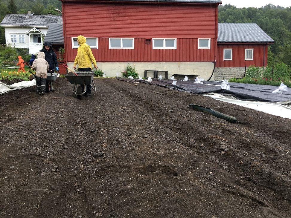 Åker klargjort til utplanting med personer som står klare med småplanter