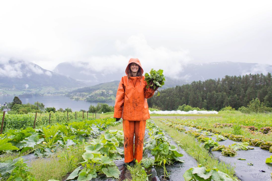 Person med grønnsak i hånda og kledd i orange regntøy . i en grønnsaksåker