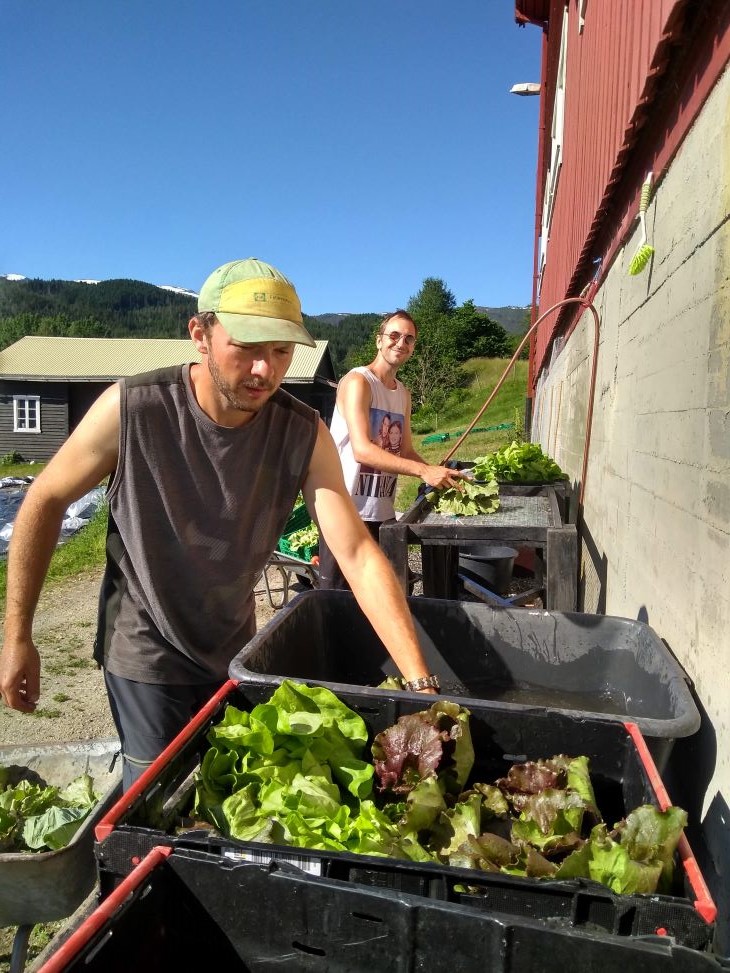To personer ved en låvevegg