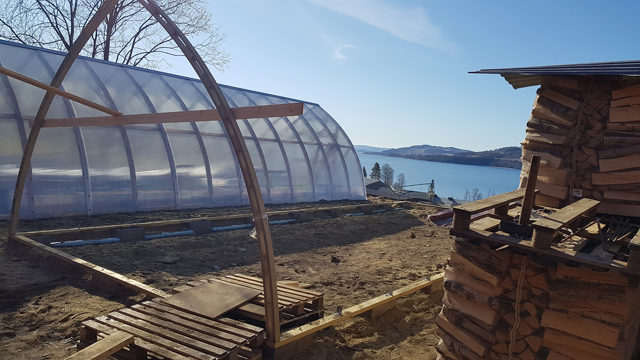 Et drivhus er i ferd med å settes opp. Bøyler i tre og vedstabel til høyre. 