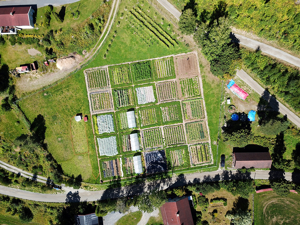 Dronebilde av alle grønnsaksfeltet på Korsviken gård. 