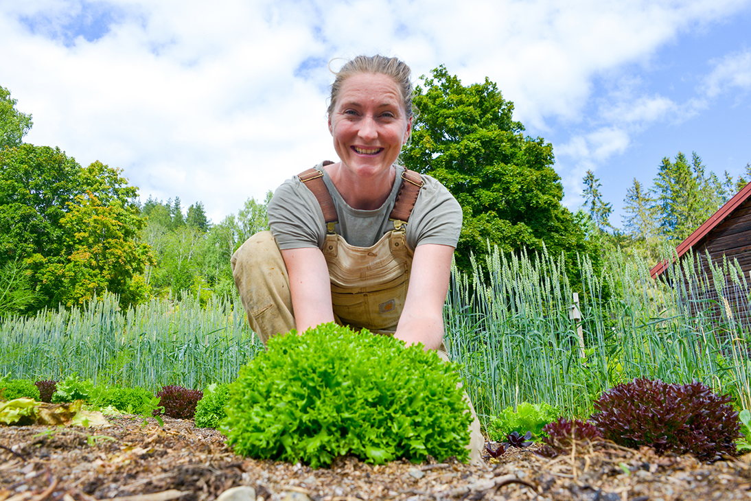 En kvinne som viser fram salat i en grønnsaksåker.