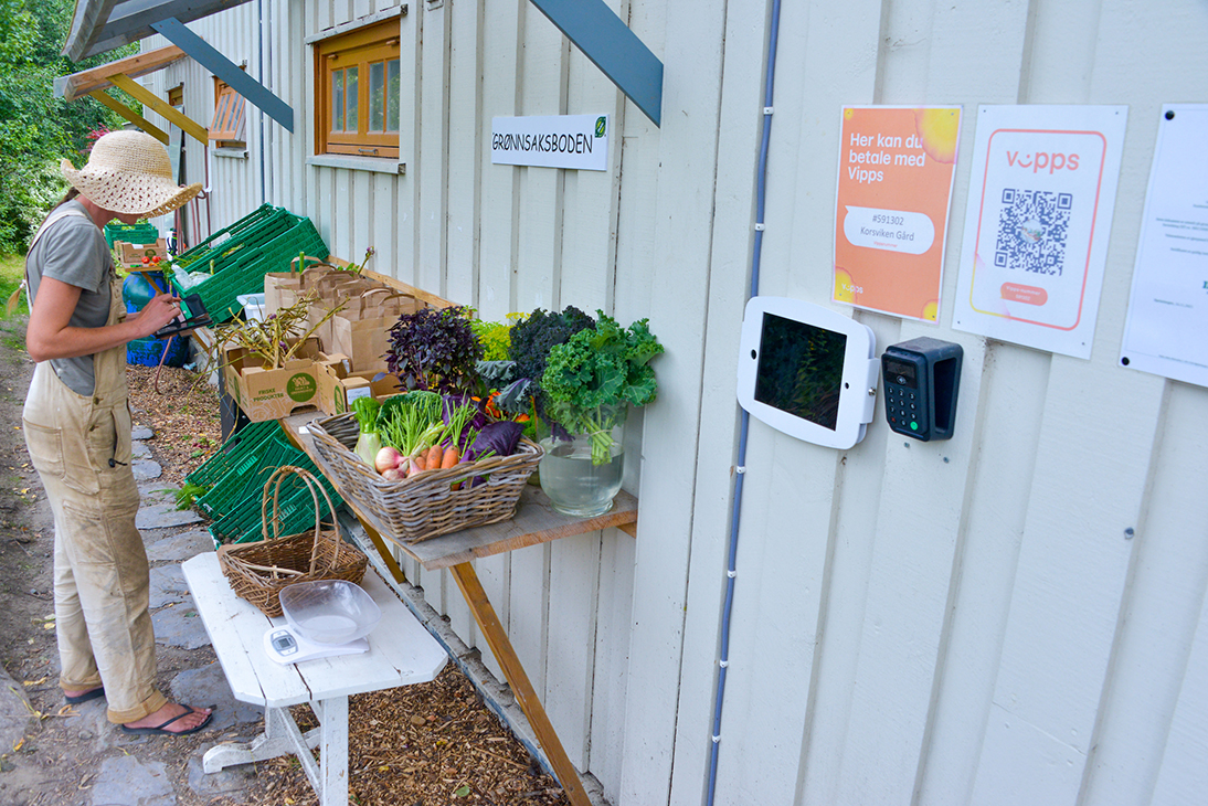 Grønnsaker for salg ved husveggen.