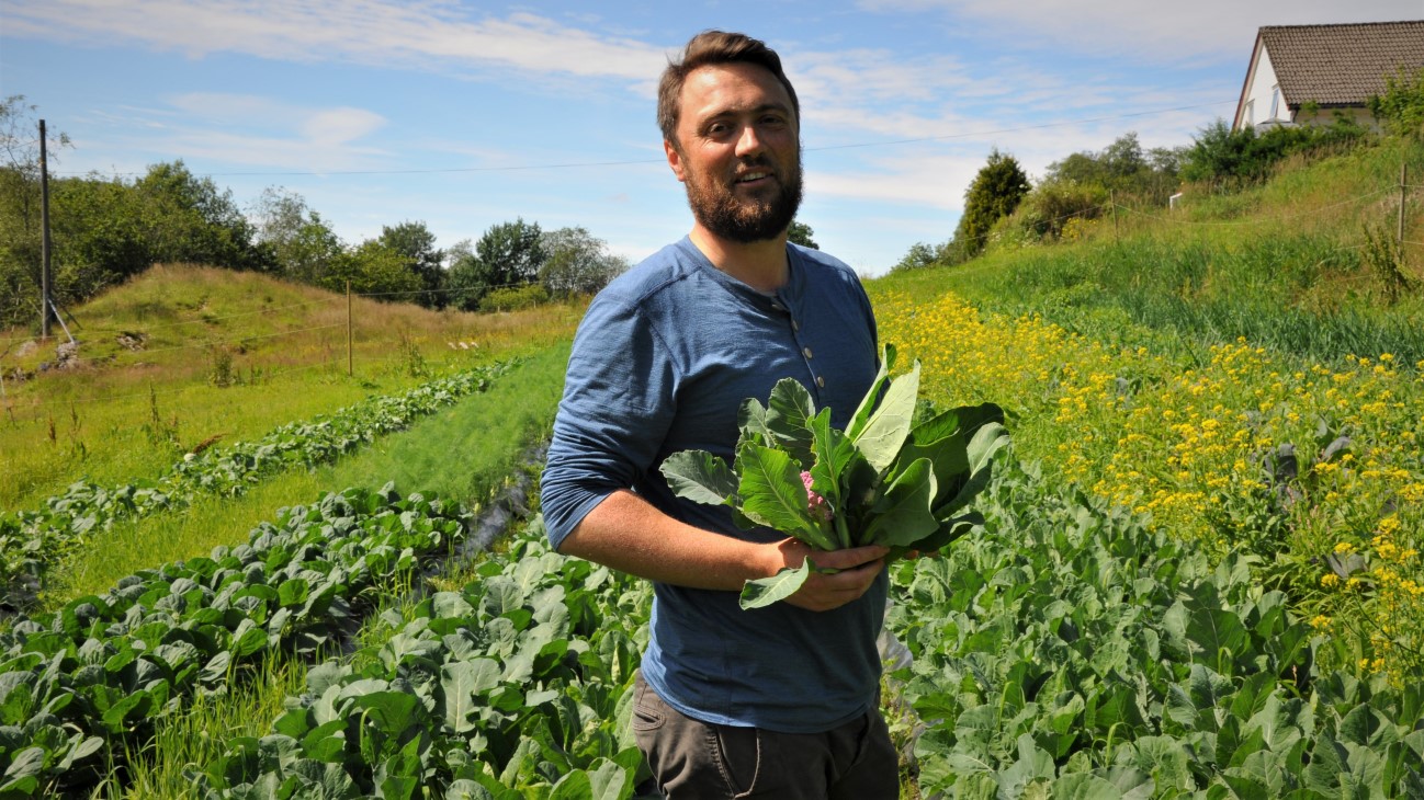 Jørn Erik Toppe og Marie Isaksen tar sakte med sikkert over drifta på Toppe gård i Åsane. Foreldrene tradisjonelt gartneri med blomstersalg og produksjon av julestjerner, men Jørn Erik og Maria ønsker å dreie produksjonen over til produksjon av matvekster og grønnsaker. 
