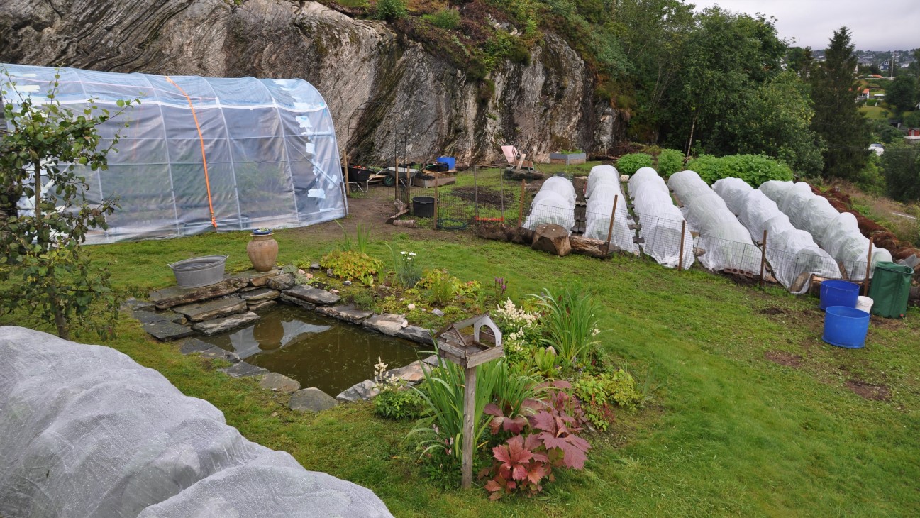 Toril Savland kjøpte i 2020 et hus med stor hage på Søreidgrend i Bergen. Hun har i år 6 dyrkingssenger på 6 m, i tillegg til en mindre tunell, som hun dyrker grønsaker i. I tillegg har hun utnyttet hvert eneste areal på tomten til å dyrke urter, blomster og bær. Hun har allerede hatt åpen hage med salg, og vil trolig selge mesteparten av overskuddet fra hagen til lokale kunder i byggefeltene rundt seg.