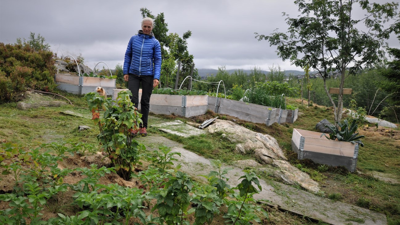 Målet er å inspirere andre hageeiere til å gjøre det samme og holde kurs i nyttevekstdyrking. Med sin bakgrunn som anleggsgartner kan hun gi mange praktiske tips, og realistiske løsninger i en oppstarts-og driftsfase. 