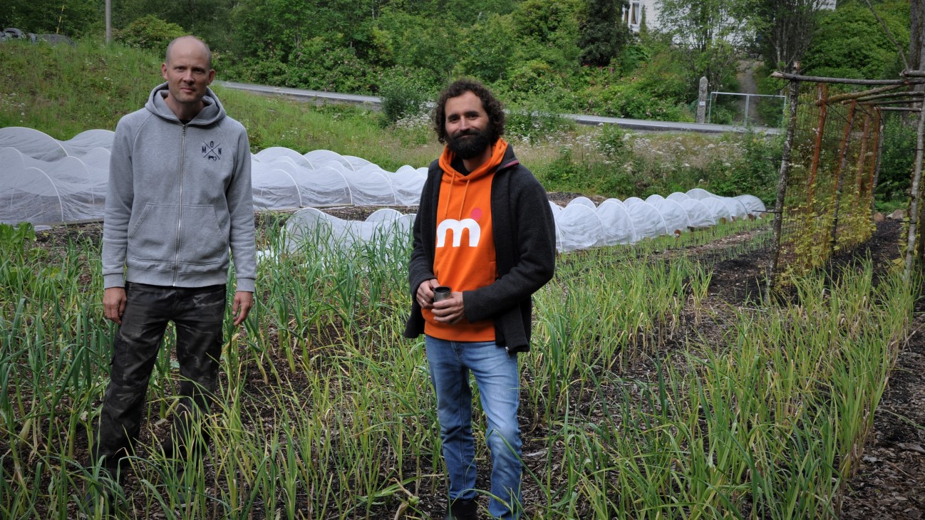 Bergen øko drives av kameratene Dan Sunhordvik og Leiv Arne Risa. De starta markedshagebedriften på Grimseid i Fana i 2020, etter prinsippene beskrevet at E. Coleman. De har etablert hagen med faste dyrkingsbed (75 cm brede, med 30-40 cm gangareal) uten å pløye, med tildekking av papp, jord og kompost i dyrkingsbedene, samt løvtreflis over pappen i gangene. 