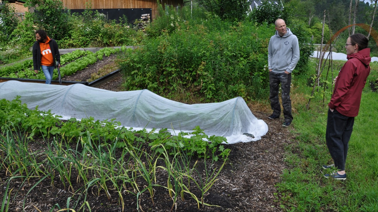 I år skal de selge grønsakene sin på REKO-ringene i Bergen samt til storhusholdningsgrossisten Måkestad, som leverer til mange av restaurantene i Bergen. Drømmen er å på sikt selge alt til forbipasserende kunder fra en kjølekontainer, hvor kundene selv kan hente ferdigpakkede grønsaksposer, som er forhåndsbestilt-og betalt av kundene. 