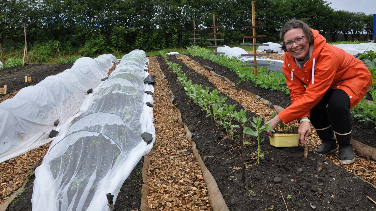 De tre produsentene er: Nicola Trier (@fanamarkedshage), Paul Hezel og Sabine Henlin (@sabineshage). Test-bedene er organisert som et prosjekt hvor arealene leies av Stend videregående skole, med prosjektledelse fra Lystgården i Bergen, et senter for urbant landbruk. I 2022-23 er Katinka Kilian ansvarlig prosjektleder og gir god støtte for produsentene i oppstarten: se mer på www.lystgarden.no