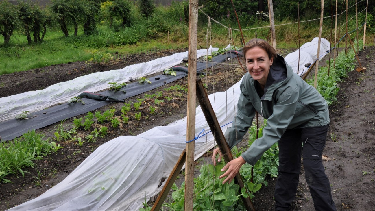 @fanamarkedshage - Nicola Trier
@sabineshage - Sabine Henlin
@lystgarden - Inkubatorprogram - Katinka Kilian