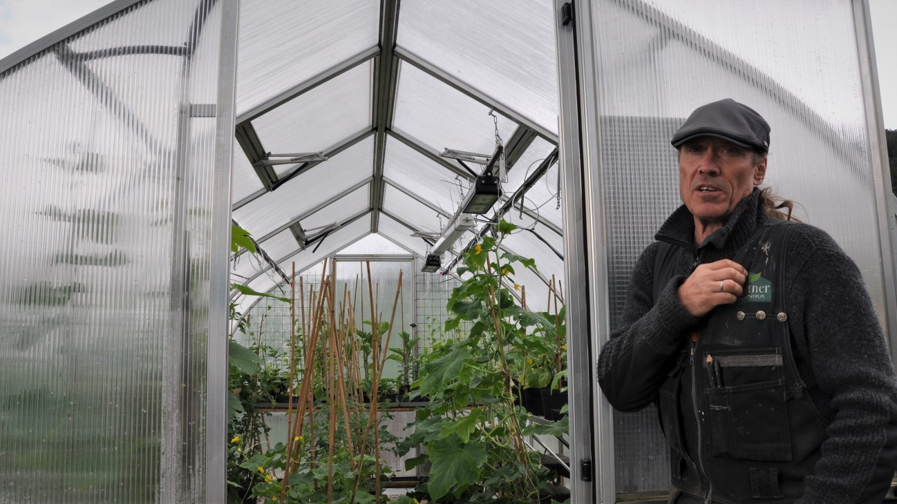 Peder har et lite drivhus for å drive fram egne oppalsplanter. Å sette opp drivhus og tuneller er også hans hovedjobb. Han har allerede sikret seg en tunell for å kunne utvide sesongen og mangfoldet av grønsaker. Til neste år vil han også sikre kvaliteten på skyllevannet. Han selger grønnsakene uvaskede i år, slik at han er sikker på at kundene selv vasker grønnsakene fra hans produksjon. Dette er i tråd med retningslinjer fra Mattilsynet.