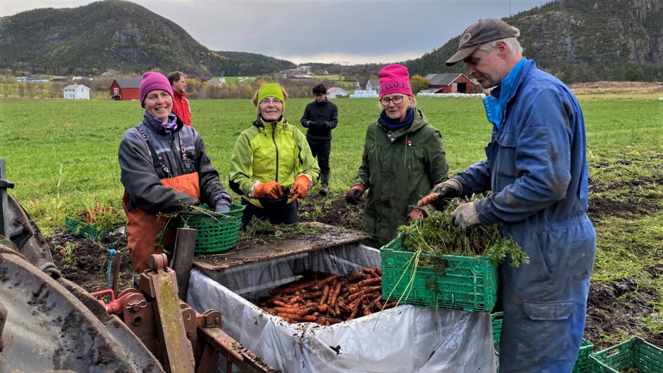 Per i dag (april 2022) er det registrert 90 andelslandbruk i Norge – alle landets fylker – i det uformelle nettverket av andelslandbruk som Økologisk Norge koordinerer. Her ser vi Dun Andelslandbruk i Trøndelag. 