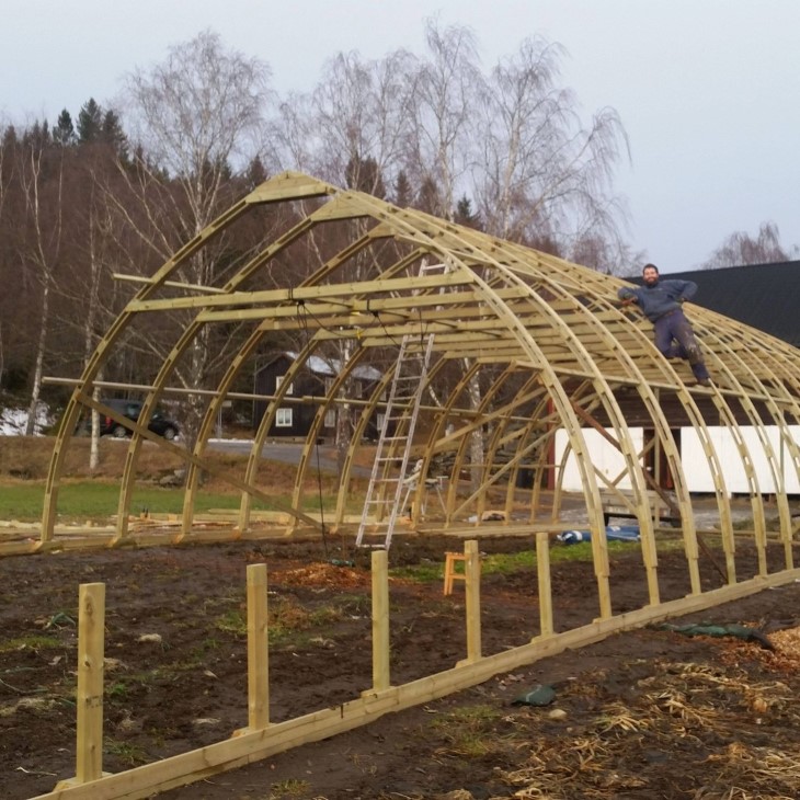 Tunnell (uoppvarma drivhus) under oppføring. 
